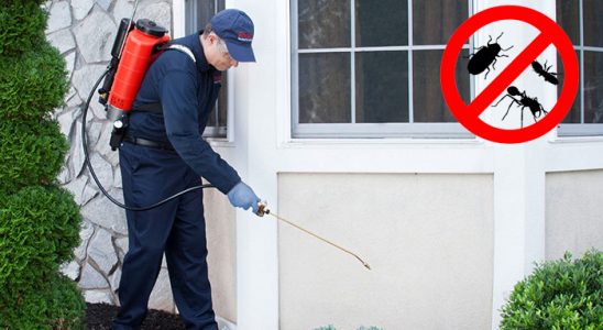 Egekent Böcek ve Haşere İlaçlama böcek ilaçlama ve haşere kontrolü — ilaclama-tr.com